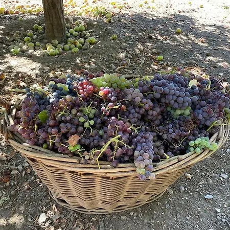 Casa Da Fiteira * Mogadouro (Braganca)