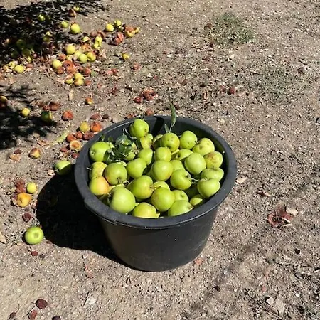 Casa Da Fiteira Dom wakacyjny Mogadouro (Braganca)