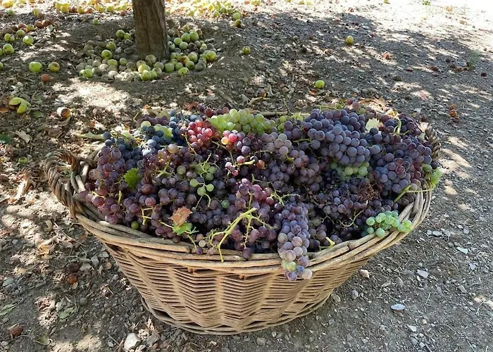 Casa Da Fiteira * 莫加多鲁